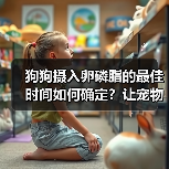 狗狗摄入卵磷脂的最佳时间如何确定?让宠物更健康!(图1) 狗狗摄入卵磷脂的最佳时间如何确定?让宠物更健康!(图1)