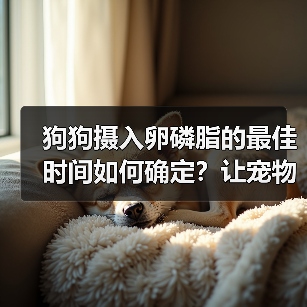 狗狗摄入卵磷脂的最佳时间如何确定?让宠物更健康!(图4) 狗狗摄入卵磷脂的最佳时间如何确定?让宠物更健康!(图4)
