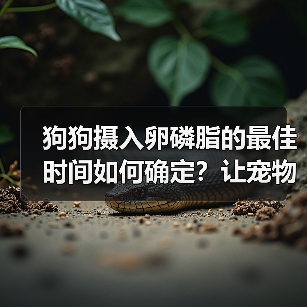 狗狗摄入卵磷脂的最佳时间如何确定?让宠物更健康!(图3) 狗狗摄入卵磷脂的最佳时间如何确定?让宠物更健康!(图3)