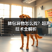 脓包异物怎么找?超声技术全解析(图4) 脓包异物怎么找?超声技术全解析(图4)