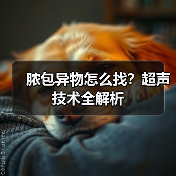 脓包异物怎么找?超声技术全解析(图2) 脓包异物怎么找?超声技术全解析(图2)