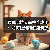 夏季比特犬养护全攻略:如何让狗狗健康清凉过夏天?(图3) 夏季比特犬养护全攻略:如何让狗狗健康清凉过夏天?(图3)
