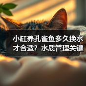 小缸养孔雀鱼多久换水才合适?水质管理关键技巧揭秘(图2) 小缸养孔雀鱼多久换水才合适?水质管理关键技巧揭秘(图2)