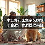小缸养孔雀鱼多久换水才合适?水质管理关键技巧揭秘(图1) 小缸养孔雀鱼多久换水才合适?水质管理关键技巧揭秘(图1)