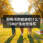 狗狗毛发健康吃什么?15种护毛食物推荐(图2) 狗狗毛发健康吃什么?15种护毛食物推荐(图2)