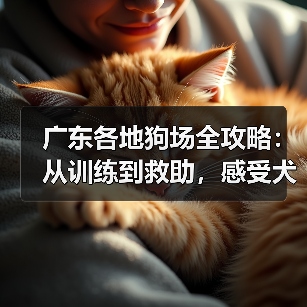 广东各地狗场全攻略:从训练到救助,感受犬类文化魅力(图3) 广东各地狗场全攻略:从训练到救助,感受犬类文化魅力(图3)