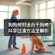 狗狗何时适合干狗粮？科学过渡方法全解析（图2）