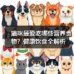 猫咪最爱吃哪些营养食物?健康饮食全解析(图2) 猫咪最爱吃哪些营养食物?健康饮食全解析(图2)