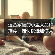 适合家庭的小型犬品种推荐,如何挑选迷你犬?(图3) 适合家庭的小型犬品种推荐,如何挑选迷你犬?(图3)