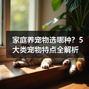 家庭养宠物选哪种？5大类宠物特点全解析（图3）