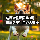瑞辰宠物医院第3周“每周之星”事迹大揭秘（图2）