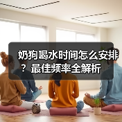 奶狗喝水时间怎么安排？最佳频率全解析（图3）