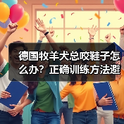 德国牧羊犬总咬鞋子怎么办?正确训练方法避免破坏行为(图2) 德国牧羊犬总咬鞋子怎么办?正确训练方法避免破坏行为(图2)