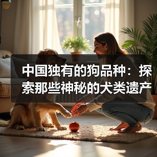 中国独有的狗品种：探索那些神秘的犬类遗产（图3）