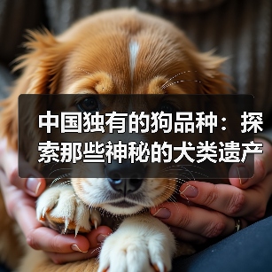 中国独有的狗品种：探索那些神秘的犬类遗产（图4）