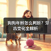 狗狗年龄怎么判断?牙齿变化全解析(图2) 狗狗年龄怎么判断?牙齿变化全解析(图2)