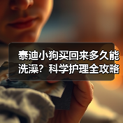 泰迪小狗买回来多久能洗澡？科学护理全攻略（图2）