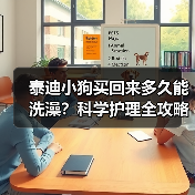 泰迪小狗买回来多久能洗澡？科学护理全攻略（图1）