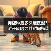 狗配种后多久能洗澡？避开风险最佳时间指南（图4）