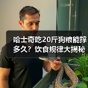 哈士奇吃20斤狗粮能撑多久？饮食规律大揭秘（图4）