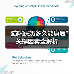猫咪踩奶多久能康复？关键因素全解析（图3）