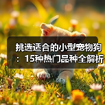 挑选适合的小型宠物狗：15种热门品种全解析（图1）