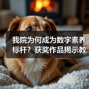 我院为何成为数字素养标杆?获奖作品揭示教学与技术融合新路径(图3) 我院为何成为数字素养标杆?获奖作品揭示教学与技术融合新路径(图3)