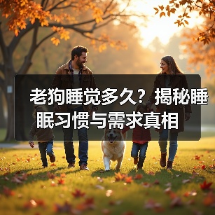 老狗睡觉多久？揭秘睡眠习惯与需求真相（图4）