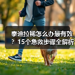 泰迪拉稀怎么办最有效？15个急救步骤全解析（图1）