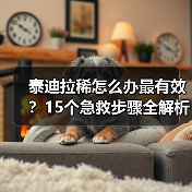 泰迪拉稀怎么办最有效？15个急救步骤全解析（图3）