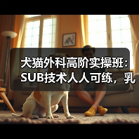 犬猫外科高阶实操班：SUB技术人人可练，乳糜胸手术怎么操作？（图2）
