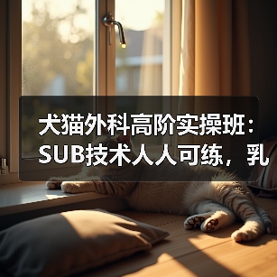 犬猫外科高阶实操班：SUB技术人人可练，乳糜胸手术怎么操作？（图1）
