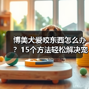 博美犬爱咬东西怎么办?15个方法轻松解决宠物破坏问题(图1) 博美犬爱咬东西怎么办?15个方法轻松解决宠物破坏问题(图1)