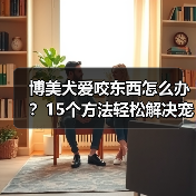 博美犬爱咬东西怎么办?15个方法轻松解决宠物破坏问题(图4) 博美犬爱咬东西怎么办?15个方法轻松解决宠物破坏问题(图4)