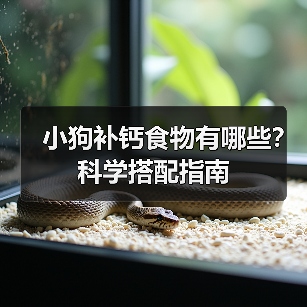 小狗补钙食物有哪些?科学搭配指南(图2) 小狗补钙食物有哪些?科学搭配指南(图2)