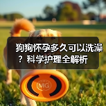 狗狗怀孕多久可以洗澡？科学护理全解析（图1）