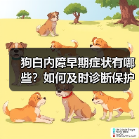 狗白内障早期症状有哪些？如何及时诊断保护视力？（图2）