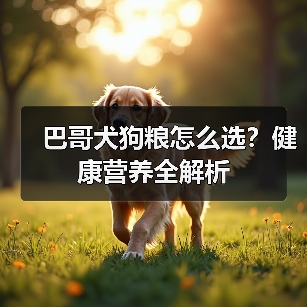 巴哥犬狗粮怎么选？健康营养全解析