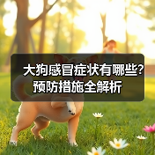 大狗感冒症状有哪些?预防措施全解析(图1) 大狗感冒症状有哪些?预防措施全解析(图1)