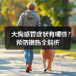 大狗感冒症状有哪些?预防措施全解析(图4) 大狗感冒症状有哪些?预防措施全解析(图4)