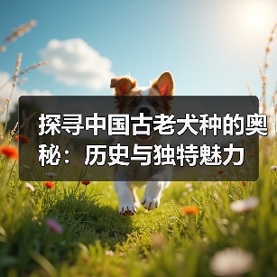 探寻中国古老犬种的奥秘:历史与独特魅力(图1) 探寻中国古老犬种的奥秘:历史与独特魅力(图1)