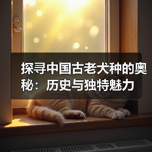 探寻中国古老犬种的奥秘:历史与独特魅力(图3) 探寻中国古老犬种的奥秘:历史与独特魅力(图3)