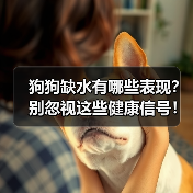 狗狗缺水有哪些表现？别忽视这些健康信号！（图2）
