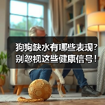 狗狗缺水有哪些表现？别忽视这些健康信号！（图3）