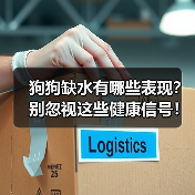 狗狗缺水有哪些表现？别忽视这些健康信号！（图4）