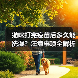 猫咪打完疫苗后多久能洗澡？注意事项全解析（图4）