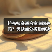 拉布拉多适合家庭饲养吗？优缺点分析助你决定