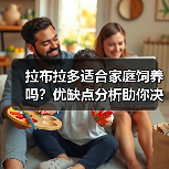 拉布拉多适合家庭饲养吗？优缺点分析助你决定（图3）