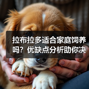 拉布拉多适合家庭饲养吗？优缺点分析助你决定（图4）