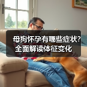 母狗怀孕有哪些症状?全面解读体征变化(图4) 母狗怀孕有哪些症状?全面解读体征变化(图4)